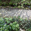 Privatgarten in Dombühl