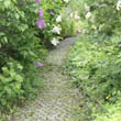 Privatgarten in Dombühl