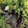 Privatgarten - Bachlauf