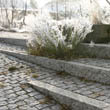 Privatgarten