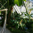 privater Wintergarten